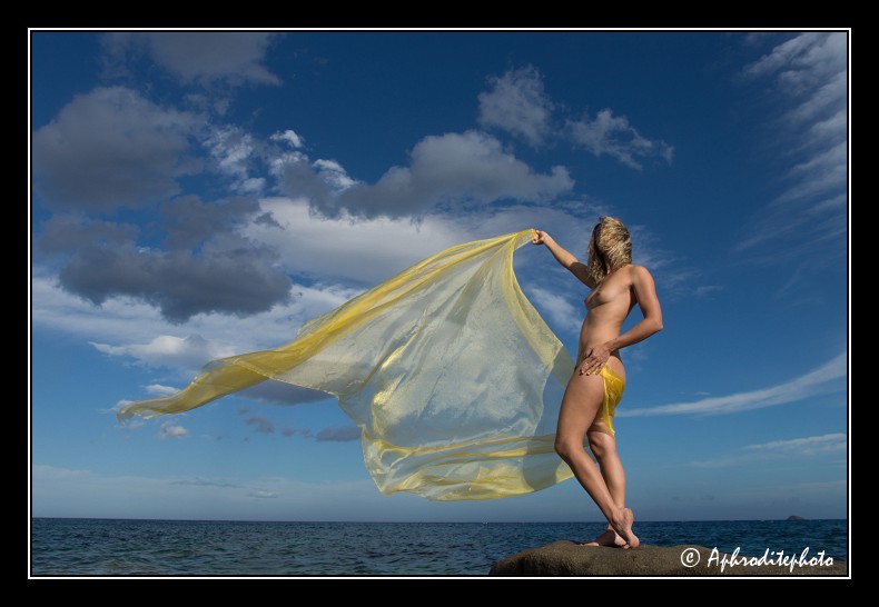 029 Le voile dans le vent 1